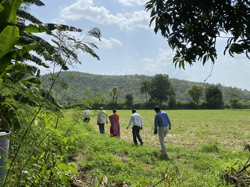 Seva Mandir team members walking through a green field in Khatamla